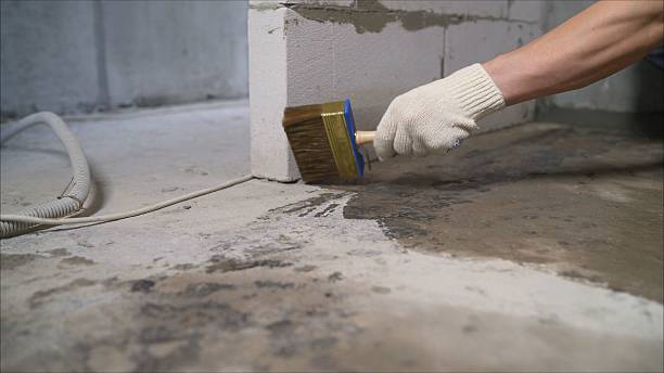 SJ Waterproofing Pros Basement Waterproofing coverage map for Dorothy, NJ and surrounding area
